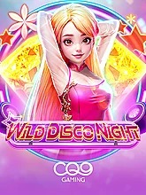 wild-disco-night