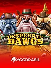 desperate-dawgs